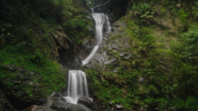 牛油果面包